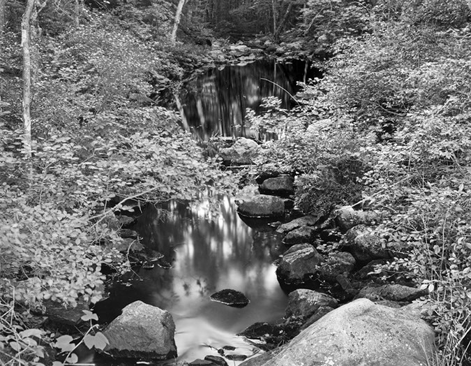 Summer Stream, Joe English Reserve, NH 2002